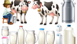 Taze Süt İle Uzun Ömürlü Süt Arasındaki Farklara Dikkat