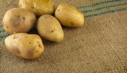 Patates Nasıl Saklanır? Tomurcuklanmasını Önleme Yolları
