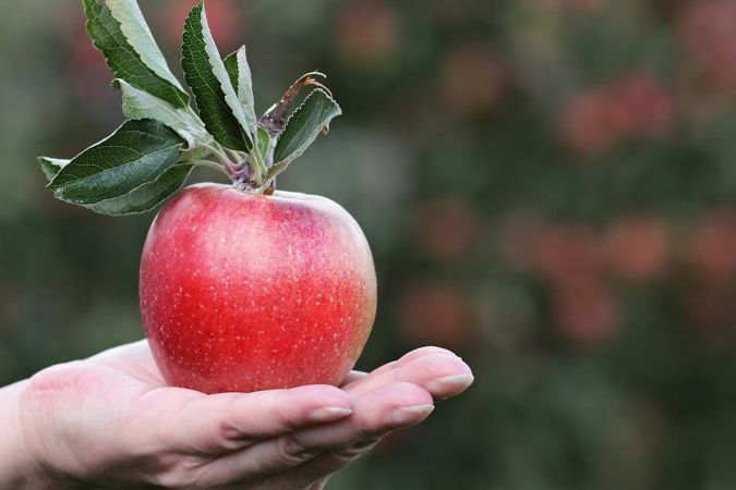 Elma Yemeklerde Nasıl Kullanılır