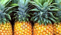 Ananas Hangi Koşullarda Nasıl Saklanır?