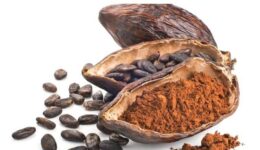 Kakao Kullanım Alanları